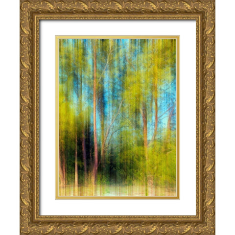 Tree Blur II Gold Ornate Wood Framed Art Print with Double Matting by Nall, Skip