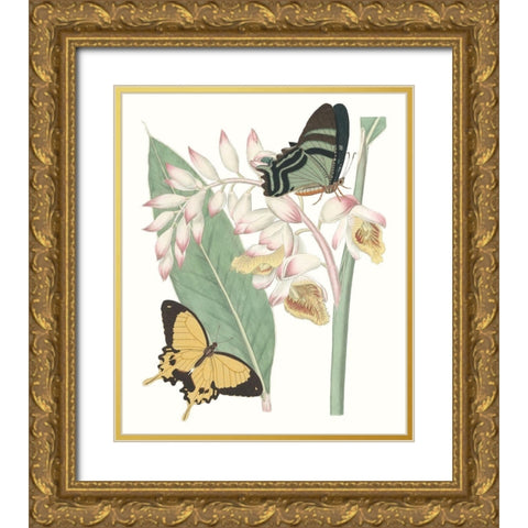 Les Papillons I Gold Ornate Wood Framed Art Print with Double Matting by Vision Studio