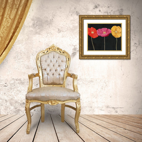 Poppy Trio II Gold Ornate Wood Framed Art Print with Double Matting by Iafrate, Sandra
