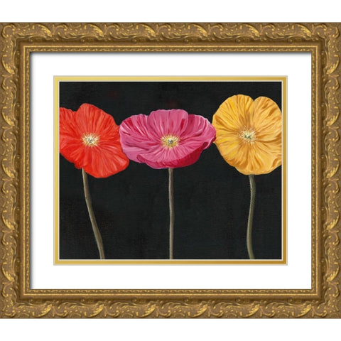Poppy Trio II Gold Ornate Wood Framed Art Print with Double Matting by Iafrate, Sandra
