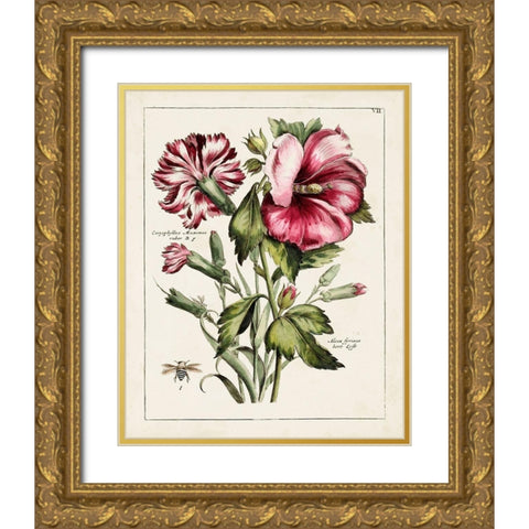 Pink Hibiscus Gold Ornate Wood Framed Art Print with Double Matting by Unknown