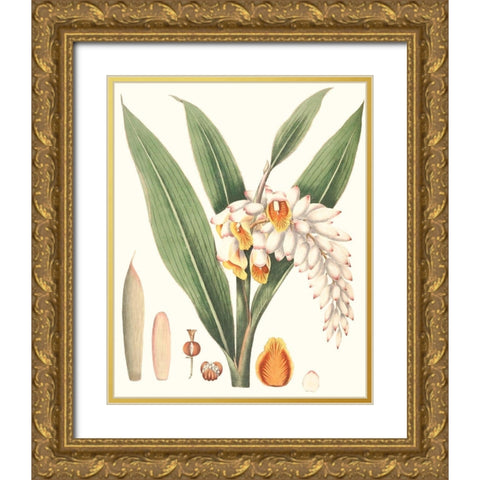Soft Tropical I Gold Ornate Wood Framed Art Print with Double Matting by Smith, George
