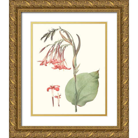 Soft Tropical III Gold Ornate Wood Framed Art Print with Double Matting by Smith, George
