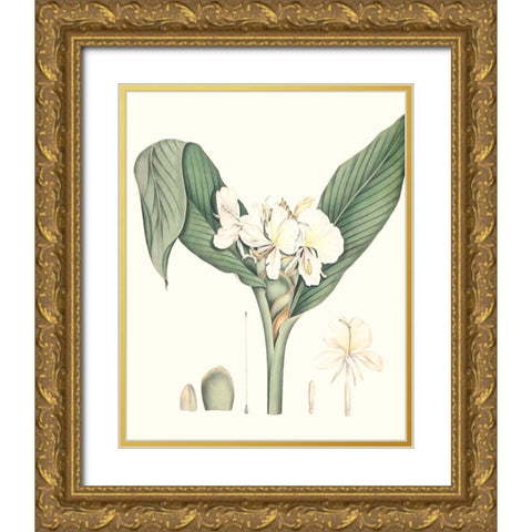 Soft Tropical V Gold Ornate Wood Framed Art Print with Double Matting by Smith, George