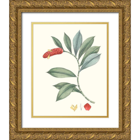 Soft Tropical VI Gold Ornate Wood Framed Art Print with Double Matting by Smith, George