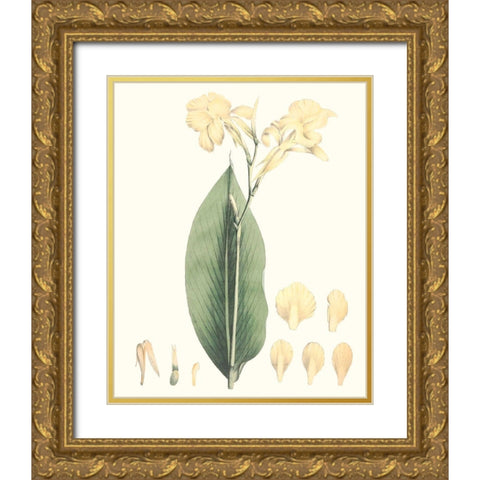Soft Tropical VII Gold Ornate Wood Framed Art Print with Double Matting by Smith, George