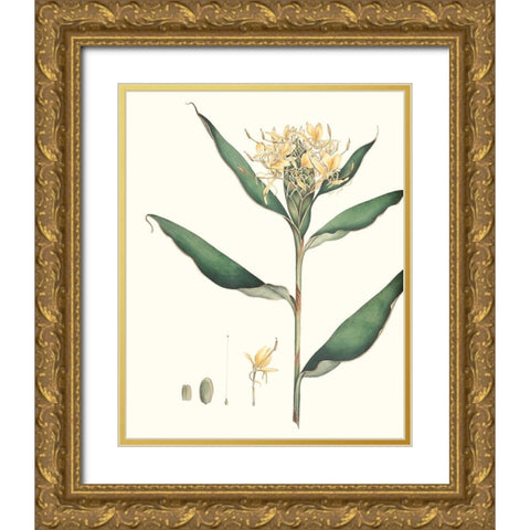 Soft Tropical VIII Gold Ornate Wood Framed Art Print with Double Matting by Smith, George