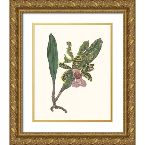 Orchid Display II Gold Ornate Wood Framed Art Print with Double Matting by Wang, Melissa