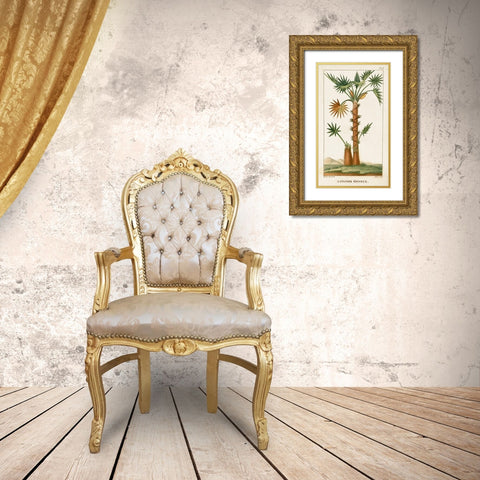 Turpin Exotic Palms I Gold Ornate Wood Framed Art Print with Double Matting by Turpin