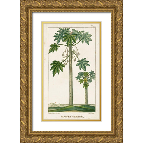 Turpin Exotic Palms II Gold Ornate Wood Framed Art Print with Double Matting by Turpin