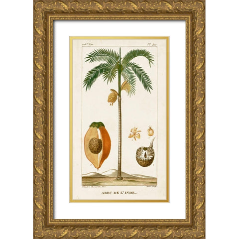 Turpin Exotic Palms V Gold Ornate Wood Framed Art Print with Double Matting by Turpin