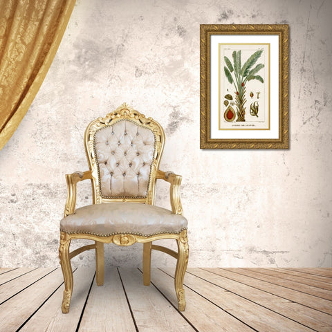 Turpin Exotic Palms VI Gold Ornate Wood Framed Art Print with Double Matting by Turpin