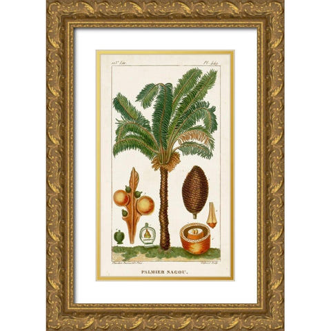 Turpin Exotic Palms VII Gold Ornate Wood Framed Art Print with Double Matting by Turpin
