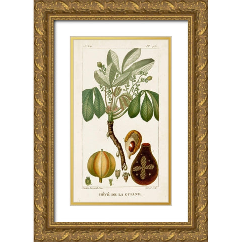 Turpin Exotic Palms VIII Gold Ornate Wood Framed Art Print with Double Matting by Turpin