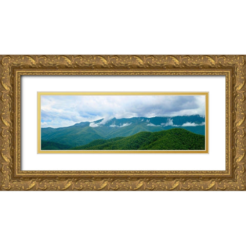 Misty Mountains II Gold Ornate Wood Framed Art Print with Double Matting by McLoughlin, James