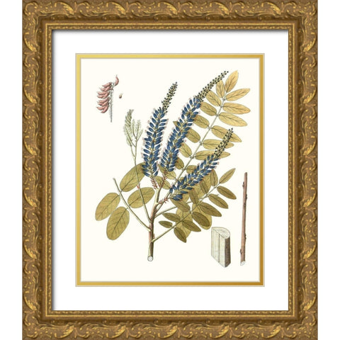 Lacy Leaves II Gold Ornate Wood Framed Art Print with Double Matting by Unknown