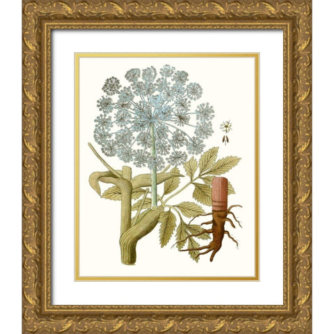 Lacy Leaves III Gold Ornate Wood Framed Art Print with Double Matting by Unknown