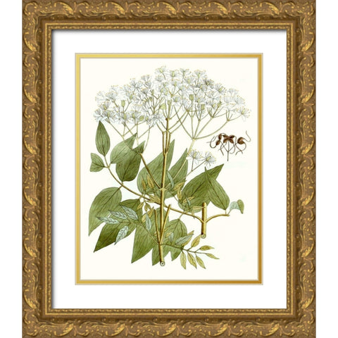 Lacy Leaves V Gold Ornate Wood Framed Art Print with Double Matting by Unknown