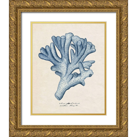 Sea Coral Study I Gold Ornate Wood Framed Art Print with Double Matting by Wang, Melissa