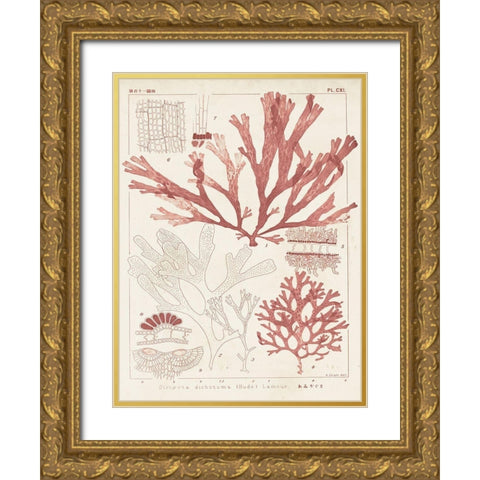 Antique Coral Seaweed IV Gold Ornate Wood Framed Art Print with Double Matting by Vision Studio