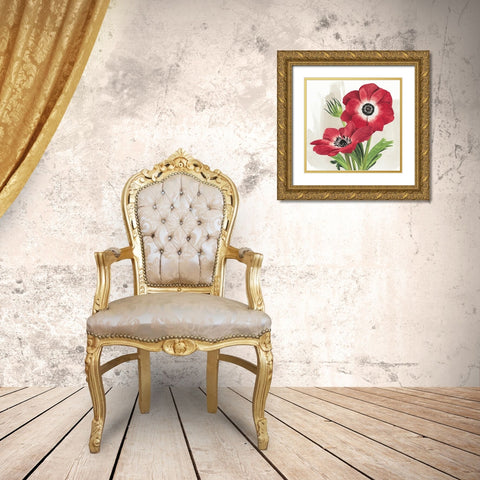 Crimson Anemones II Gold Ornate Wood Framed Art Print with Double Matting by Popp, Grace