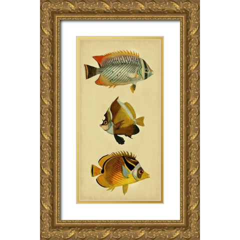 Trio of Tropical Fish II Gold Ornate Wood Framed Art Print with Double Matting by Vision Studio