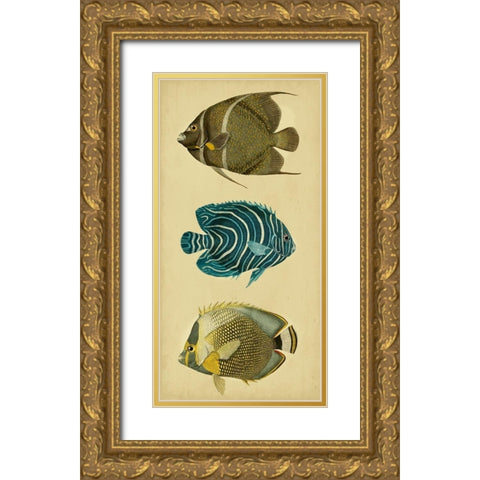 Trio of Tropical Fish III Gold Ornate Wood Framed Art Print with Double Matting by Vision Studio