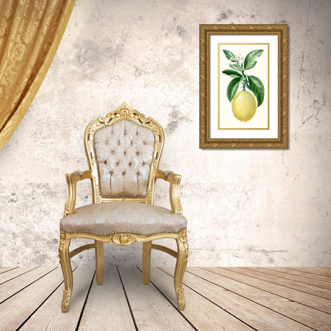 Turpin Fruit I Gold Ornate Wood Framed Art Print with Double Matting by Turpin