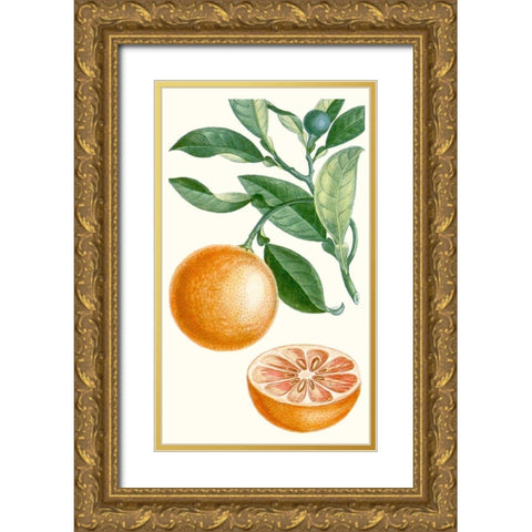 Turpin Fruit II Gold Ornate Wood Framed Art Print with Double Matting by Turpin