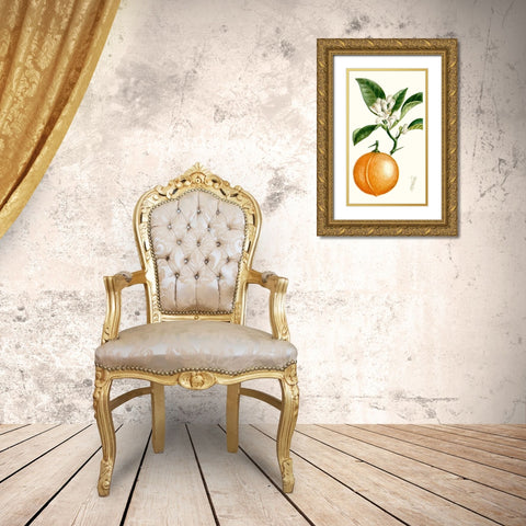 Turpin Fruit IV Gold Ornate Wood Framed Art Print with Double Matting by Turpin