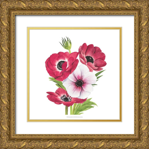Anemone Blooms II Gold Ornate Wood Framed Art Print with Double Matting by Popp, Grace