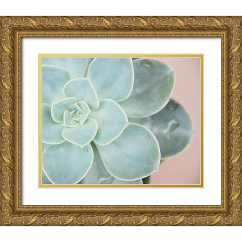 Succulent Glow IV Gold Ornate Wood Framed Art Print with Double Matting by Johnson, Jason