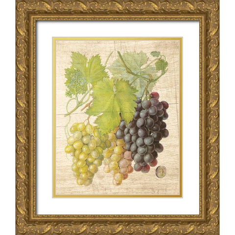 Grapevine I Gold Ornate Wood Framed Art Print with Double Matting by Nobleworks Inc.