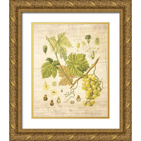 Grapevine II Gold Ornate Wood Framed Art Print with Double Matting by Nobleworks Inc.