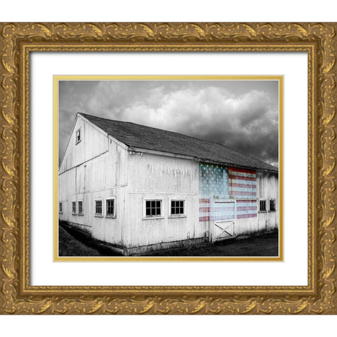 Flags of Our Farmers VIII Gold Ornate Wood Framed Art Print with Double Matting by McLoughlin, James