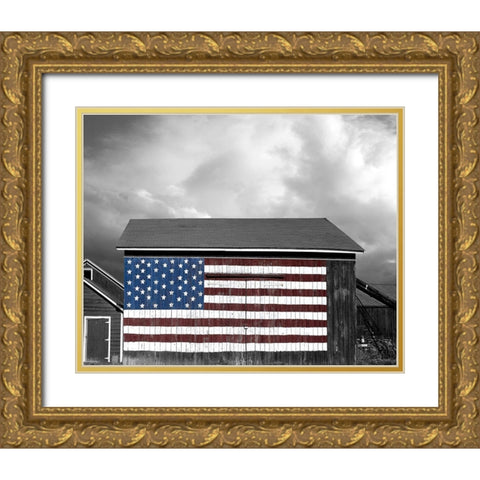 Flags of Our Farmers IX Gold Ornate Wood Framed Art Print with Double Matting by McLoughlin, James