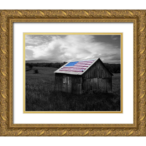 Flags of Our Farmers XII Gold Ornate Wood Framed Art Print with Double Matting by McLoughlin, James