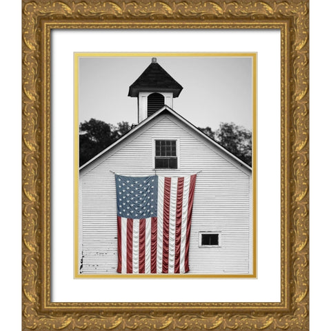 Flags of Our Farmers XVII Gold Ornate Wood Framed Art Print with Double Matting by McLoughlin, James