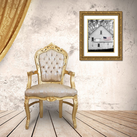 Flags of Our Farmers XVIII Gold Ornate Wood Framed Art Print with Double Matting by McLoughlin, James