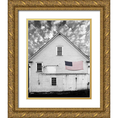 Flags of Our Farmers XVIII Gold Ornate Wood Framed Art Print with Double Matting by McLoughlin, James