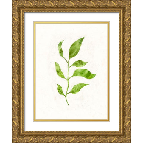 Sapling II Gold Ornate Wood Framed Art Print with Double Matting by Borges, Victoria