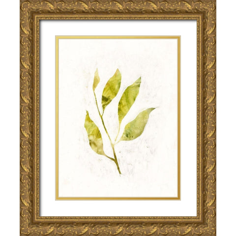 Sapling IV Gold Ornate Wood Framed Art Print with Double Matting by Borges, Victoria