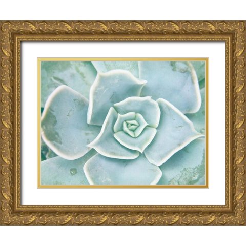 Storybook Succulent II Gold Ornate Wood Framed Art Print with Double Matting by Johnson, Jason