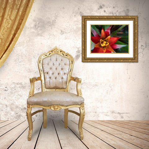 Bromeliad Burst II Gold Ornate Wood Framed Art Print with Double Matting by Johnson, Jason