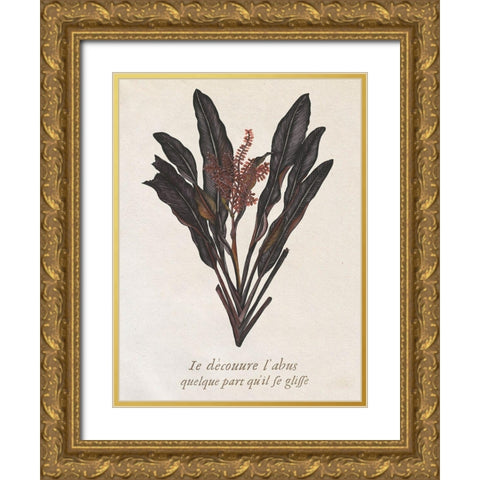 Seaweed Study I Gold Ornate Wood Framed Art Print with Double Matting by Wang, Melissa