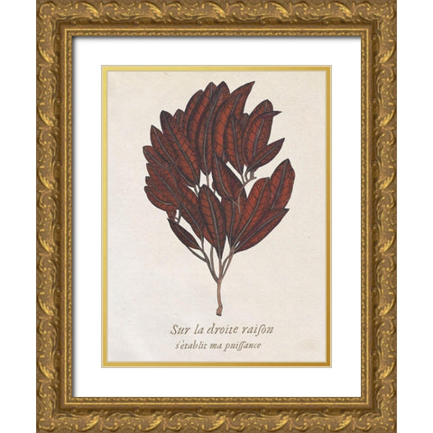Seaweed Study II Gold Ornate Wood Framed Art Print with Double Matting by Wang, Melissa