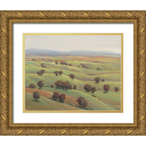 Beyond the Hills I Gold Ornate Wood Framed Art Print with Double Matting by OToole, Tim