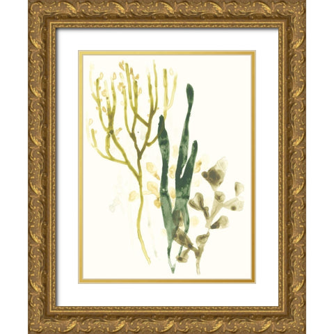 Kelp Collection V Gold Ornate Wood Framed Art Print with Double Matting by Vess, June Erica