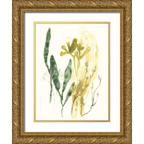 Kelp Collection VI Gold Ornate Wood Framed Art Print with Double Matting by Vess, June Erica