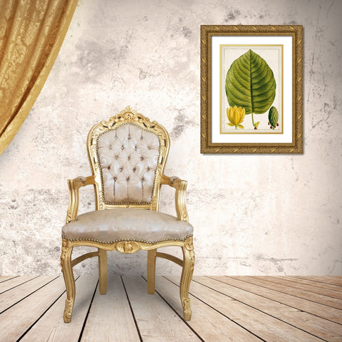 Antique Flowering Trees I Gold Ornate Wood Framed Art Print with Double Matting by Unknown